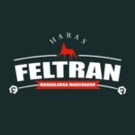 Haras Feltran